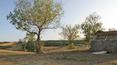 Toscana Immobiliare - Real estate in panoramic position, few kilometers from Montepulciano
