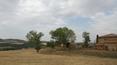 Toscana Immobiliare - Siena restored farmhouse surrounded by about 1 hectare of land