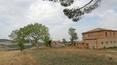 Toscana Immobiliare - Montepulciano restored farmhouse surrounded by about 1 hectare of land