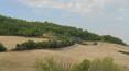 Toscana Immobiliare - Tuscany houses for sale