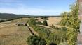 Toscana Immobiliare - Castles for sale in tuscany