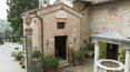 Toscana Immobiliare - estate for sale italy
