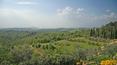 Toscana Immobiliare - Italian farm for sale in Siena, Tuscany