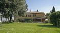 Toscana Immobiliare - Estate with vineyards and farmhouse for sale in Tuscany, A trequanda, Siena