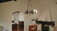 Toscana Immobiliare - Estate with vineyards and farmhouse for sale in Tuscany, A trequanda, Siena
