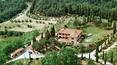 Toscana Immobiliare - Bauernhof mit Weinbergen und Bauernhaus zum Verkauf in der Toskana, A trequanda, Siena