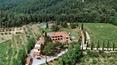 Toscana Immobiliare - Estate with vineyards and farmhouse for sale in Tuscany, A trequanda, Siena