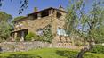 Toscana Immobiliare - Houses in Arezzo area