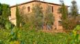 Toscana Immobiliare - Azienda agricola con vigneto a Montalcino