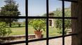 Toscana Immobiliare - View on the garden of the luxury villa