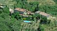 Toscana Immobiliare - About 4 ha of woods and olive groves