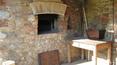 Toscana Immobiliare - Azienda agricola in vendita Grosseto, Civitella Paganico con vigneto, oliveto e agriturismo