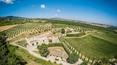 Toscana Immobiliare - Azienda vitivinicola con cantina e vigneti in Toscana