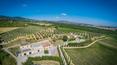 Toscana Immobiliare - Wineries e vineyards for sale in Tuscany 