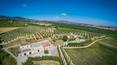 Toscana Immobiliare - Wineries e vineyards for sale in Tuscany