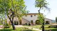 Toscana Immobiliare - Azienda vitivinicola in vendita a Siena in Toscana