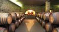 Toscana Immobiliare - wine company for sale tuscany