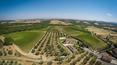 Toscana Immobiliare - Wine estate for sale in Tuscany, in the Siena hills