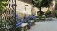 Toscana Immobiliare - Prestigious property for sale in Italy