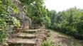 Toscana Immobiliare - houses for sale in Cortona, Under the Tuscan