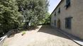Toscana Immobiliare - winery for sale Castellina in Chianti