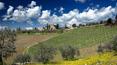 Toscana Immobiliare - Wine company in Chianti, Tuscany