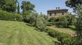 Toscana Immobiliare - restored house in Cetona. Luxury finishings, swimming pool, panoramic position.