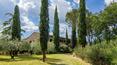Toscana Immobiliare - cypress alley to the house