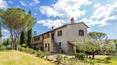 Toscana Immobiliare - panoramic view from the house