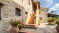 Toscana Immobiliare - real estate in Tuscany