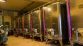 Toscana Immobiliare - Winery with hospitality business for sale in Tuscany