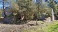 Toscana Immobiliare - estate for sale in Rapolano Terme