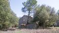 Toscana Immobiliare - houses for sale near Siena