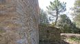 Toscana Immobiliare - Rudere in pietra con 100 ha di terreno in vendita in provincia di Siena