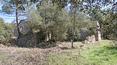 Toscana Immobiliare - Rustico da restaurare in vendita in Toscana