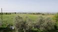 Toscana Immobiliare - La proprietà in vendita si compone della casa principale con vari annessi e capannoni il tutto circondato da 11 ettari di terreno pianeggiante e irrigabile
