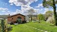 Toscana Immobiliare - Case Vacanze, casali, agriturismi  in vendita a Civitella in Val di Chiana, Arezzo