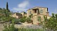 Toscana Immobiliare - Real estate agency in Tuscany