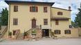Toscana Immobiliare - Holiday Farm With vineyards and cellar in Tuscany