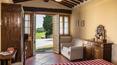 Toscana Immobiliare - Holiday Farm With vineyards and cellar in Siena