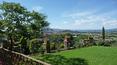 Toscana Immobiliare - garden of the villa