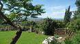 Toscana Immobiliare - garden views