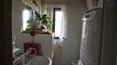 Toscana Immobiliare - The property consists of the main farmhouse of 400 square meters divided into 5 apartments on the first floor and a single apartment on the first floor