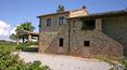 Toscana Immobiliare - Stone country house for sale devided into 3 apartments with swimming pool, park of 2 hectars