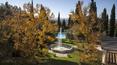 Toscana Immobiliare - Surrounded by greenery and tranquility, the property has 18 hectares of land with vineyards and olive groves and 3 hectares of Italian garden with a refined pool of 7m x 14m with showers, a classic fountain of 6m in diameter, old trees and a 400 sqm winte