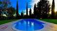 Toscana Immobiliare - Surrounded by greenery and tranquility, the property has 18 hectares of land with vineyards and olive groves and 3 hectares of Italian garden with a refined pool of 7m x 14m with showers, a classic fountain of 6m in diameter, old trees and a 400 sqm winte