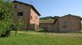 Toscana Immobiliare - houese in Tuscany 