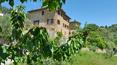Toscana Immobiliare - Tuscany accomodation in Siena, Trequanda