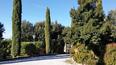 Toscana Immobiliare - Farm holidays in Tuscany