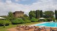 Toscana Immobiliare - country houses in tuscany for sale